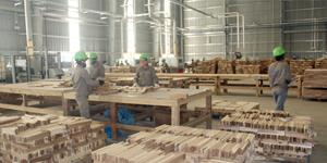 Nhà máy sản xuất phôi gỗ tẩm áp lực, ván ghép thanh...